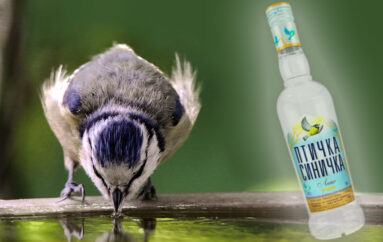 Роскачество назвало водку «Птичка Синичка» самой качественной и самой вкусной